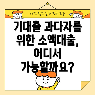 기대출 과다자를 위한 소액대출, 어디서 가능할까요?