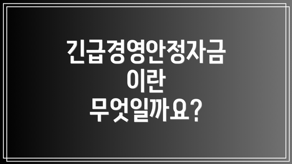 긴급경영안정자금이란 무엇일까요?