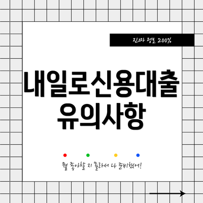 내일로신용대출 유의사항