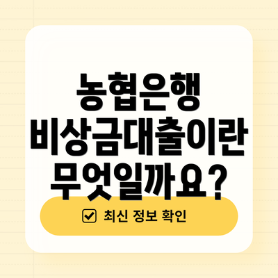 농협은행 비상금대출이란 무엇일까요?