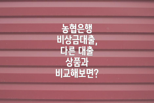 농협은행 비상금대출,  다른 대출 상품과 비교해보면?