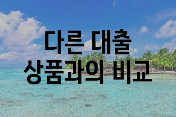 다른 대출 상품과의 비교