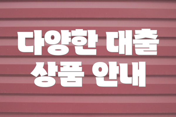 다양한 대출 상품 안내