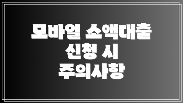모바일 소액대출 신청 시 주의사항