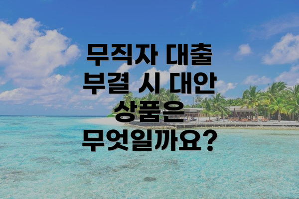 무직자 대출 부결 시 대안 상품은 무엇일까요?