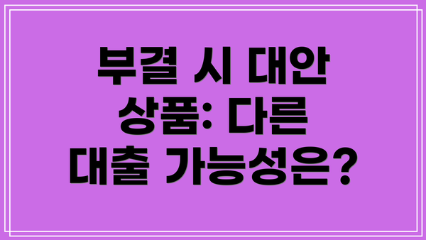 부결 시 대안 상품: 다른 대출 가능성은?