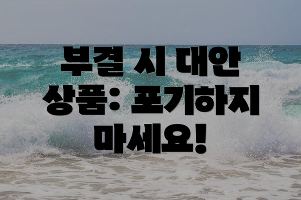부결 시 대안 상품: 포기하지 마세요!