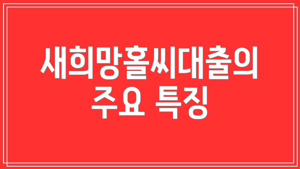 새희망홀씨대출의 주요 특징