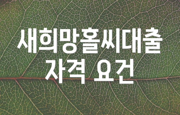 새희망홀씨대출 자격 요건