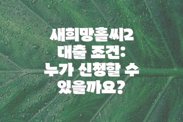 새희망홀씨2 대출 조건: 누가 신청할 수 있을까요?