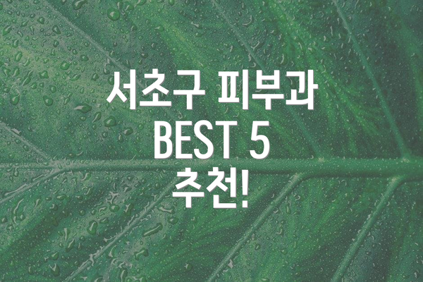 서초구 피부과 BEST 5 추천!
