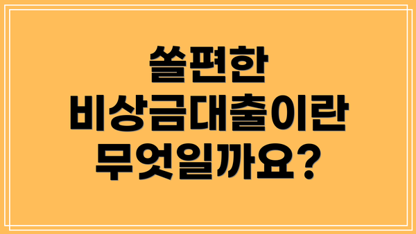 쏠편한 비상금대출이란 무엇일까요?