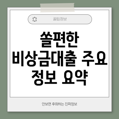 쏠편한 비상금대출 주요 정보 요약