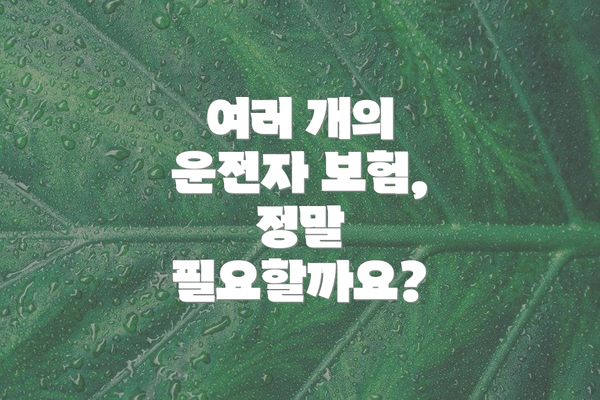 여러 개의 운전자 보험, 정말 필요할까요?