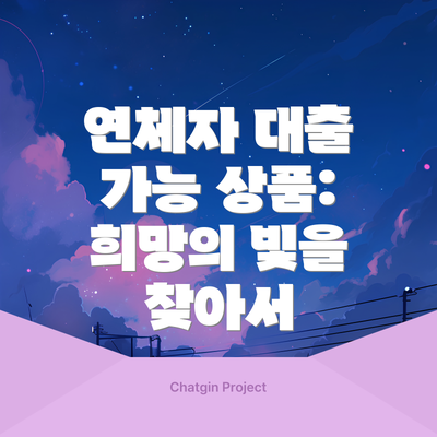 연체자 대출 가능 상품: 희망의 빛을 찾아서