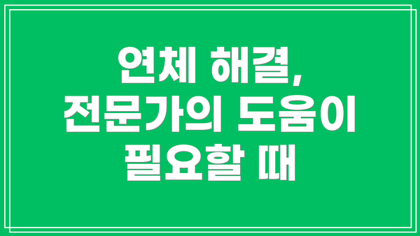 연체 해결, 전문가의 도움이 필요할 때
