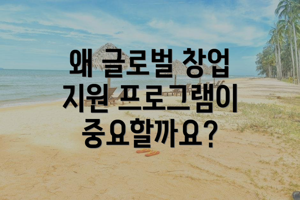 왜 글로벌 창업 지원 프로그램이 중요할까요?