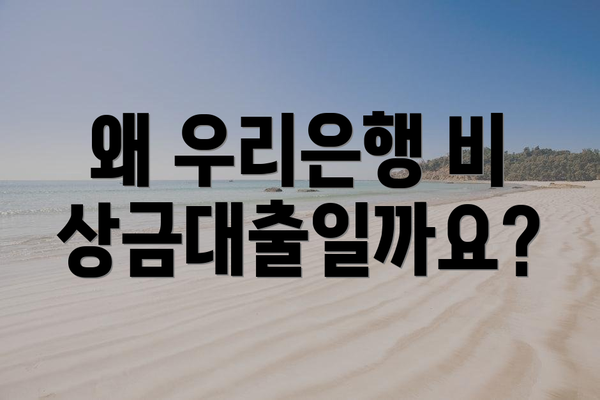 왜 우리은행 비상금대출일까요?