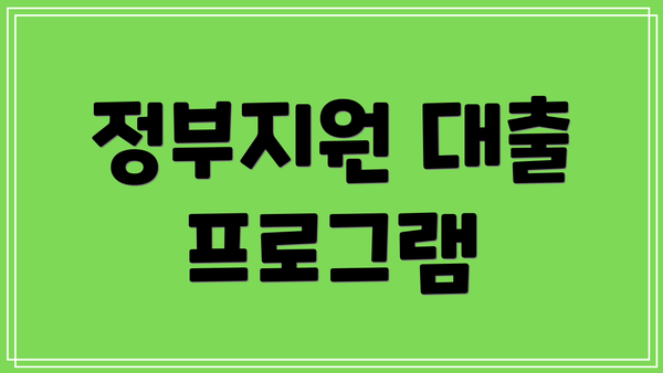 정부지원 대출 프로그램