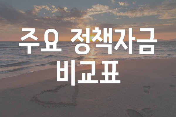 주요 정책자금 비교표