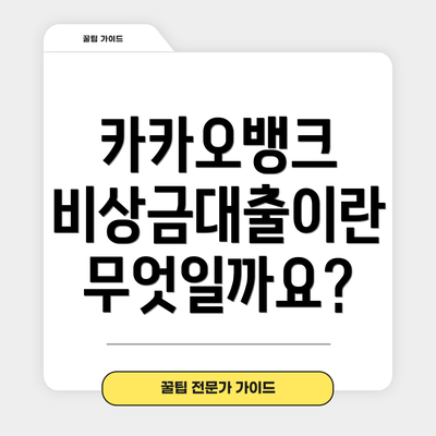 카카오뱅크 비상금대출이란 무엇일까요?
