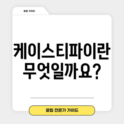 케이스티파이란 무엇일까요?