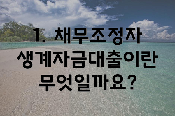 1. 채무조정자 생계자금대출이란 무엇일까요?