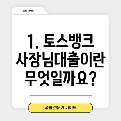 1. 토스뱅크 사장님대출이란 무엇일까요?