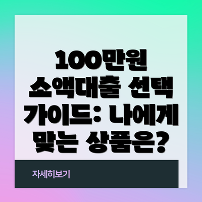 100만원 소액대출 선택 가이드: 나에게 맞는 상품은?