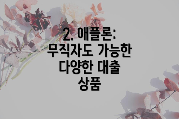 2. 애플론: 무직자도 가능한 다양한 대출 상품