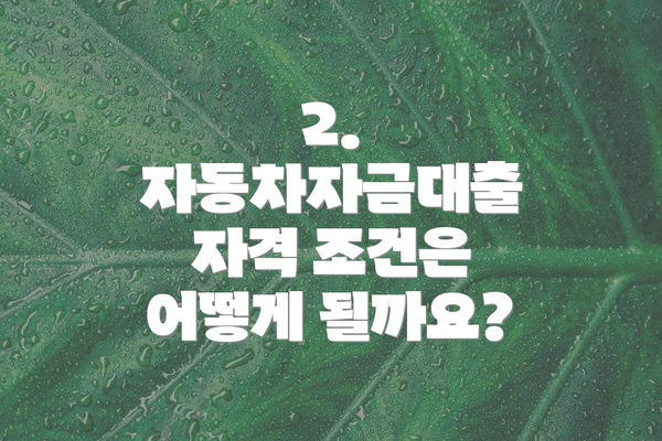 2. 자동차자금대출 자격 조건은 어떻게 될까요?