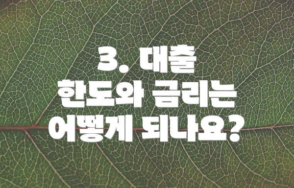 3. 대출 한도와 금리는 어떻게 되나요?
