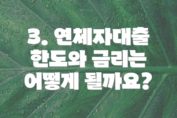 3. 연체자대출 한도와 금리는 어떻게 될까요?