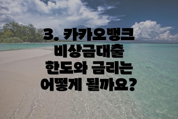 3. 카카오뱅크 비상금대출 한도와 금리는 어떻게 될까요?