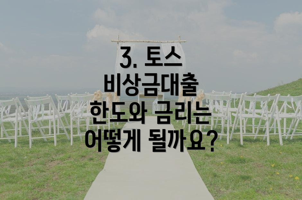 3. 토스 비상금대출 한도와 금리는 어떻게 될까요?