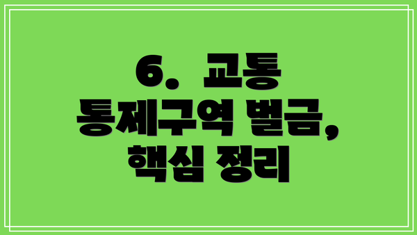 6.  교통 통제구역 벌금, 핵심 정리