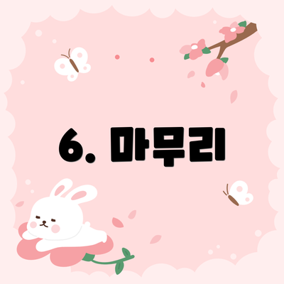 6. 마무리