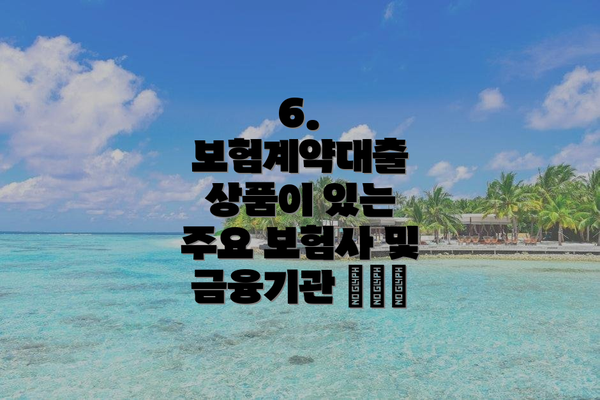 6. 보험계약대출 상품이 있는 주요 보험사 및 금융기관 🏦💳💸