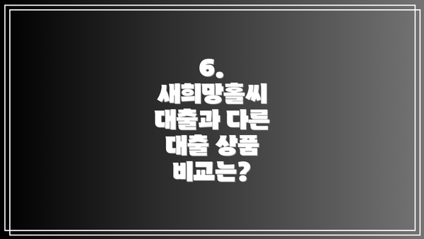 6.  새희망홀씨 대출과 다른 대출 상품 비교는?