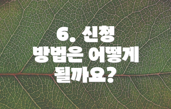 6. 신청 방법은 어떻게 될까요?
