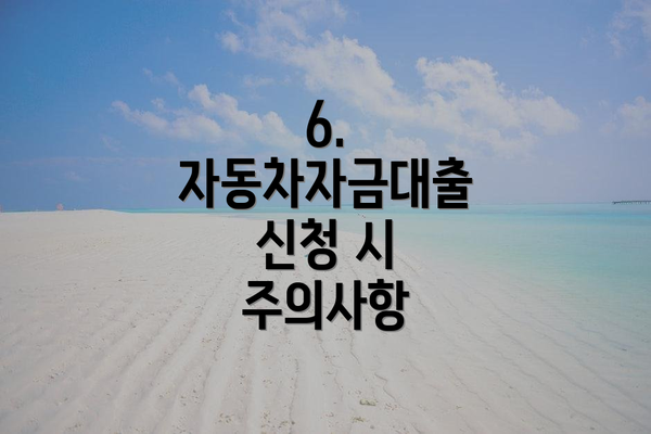 6.  자동차자금대출 신청 시 주의사항