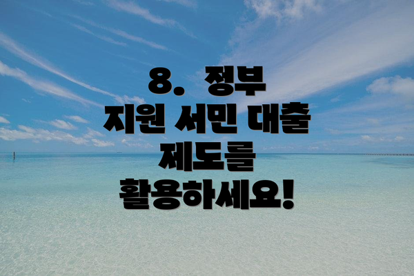 8.  정부 지원 서민 대출 제도를 활용하세요!