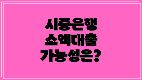 시중은행 소액대출 가능성은?