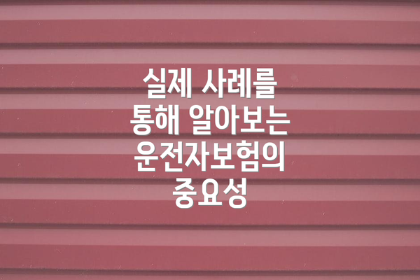 실제 사례를 통해 알아보는 운전자보험의 중요성