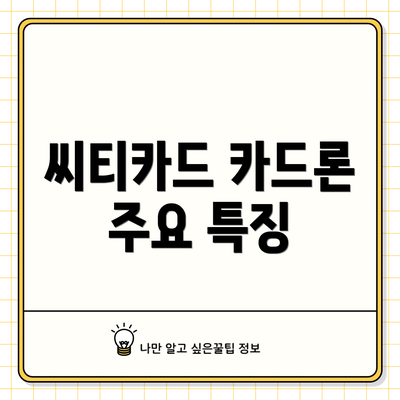 씨티카드 카드론 주요 특징