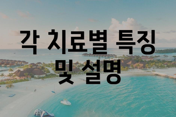 각 치료별 특징 및 설명