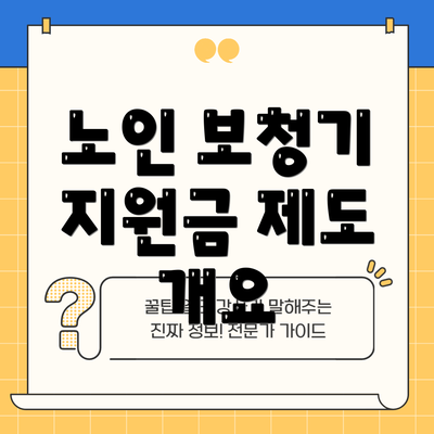 노인 보청기 지원금 제도 개요