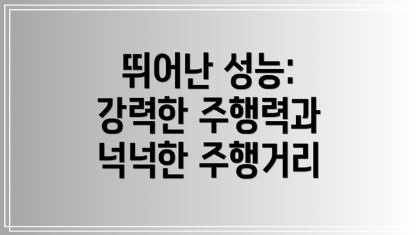 뛰어난 성능: 강력한 주행력과 넉넉한 주행거리