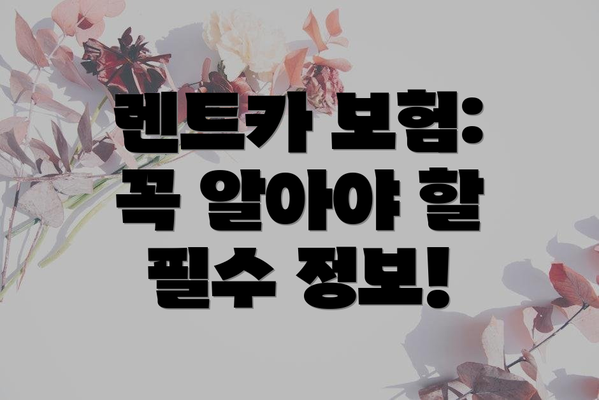 렌트카 보험: 꼭 알아야 할 필수 정보!
