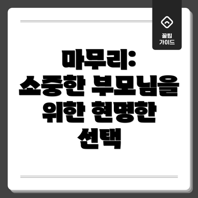 마무리:  소중한 부모님을 위한 현명한 선택
